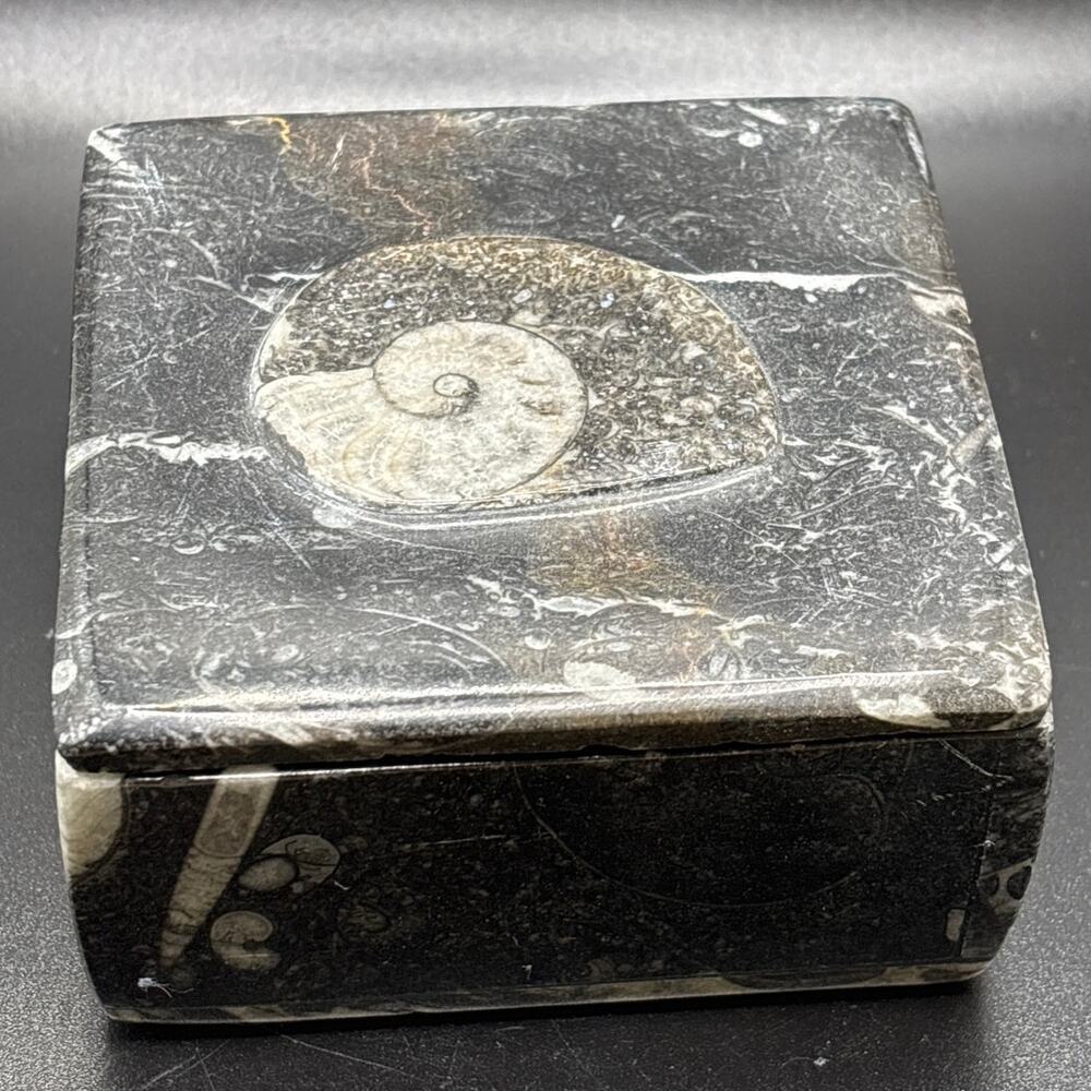 Cool Fossilized Stone Trinket Box